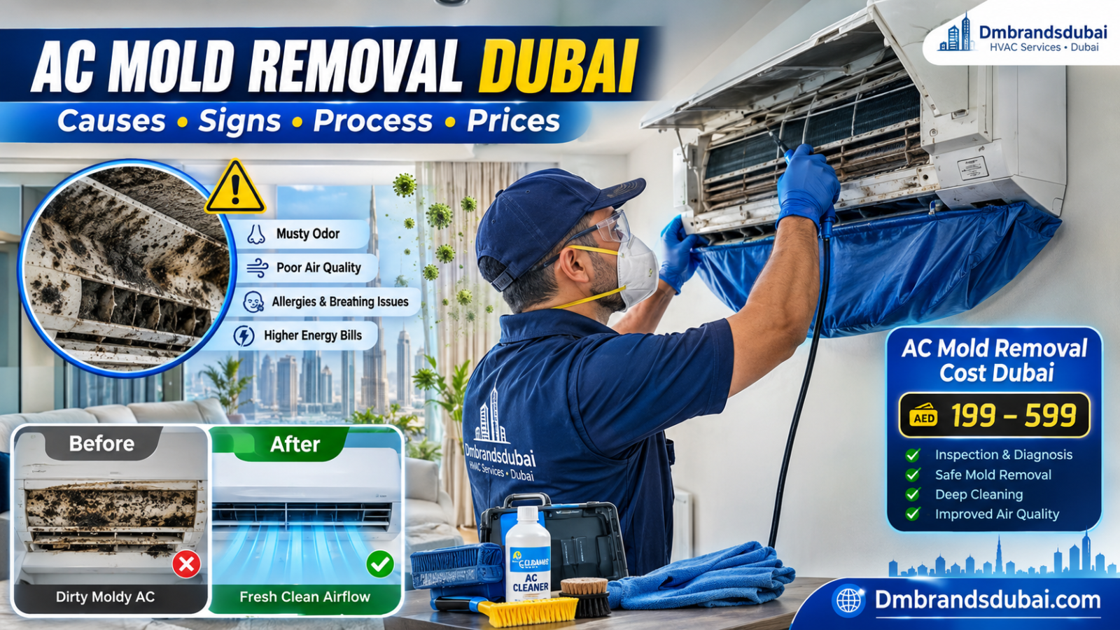 AC Mold Removal Dubai: Causes, Signs, Process and Prices - DMBrandsDubai 2026